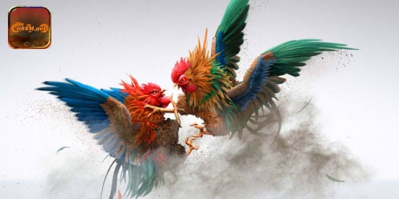 Áp dụng chiến thuật và mẹo đặt cược đá gà mạng ăn tiền 88M hiệu quả